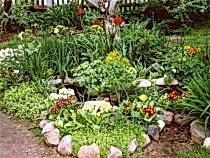 дом престарелых